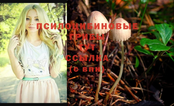 spice Арсеньев