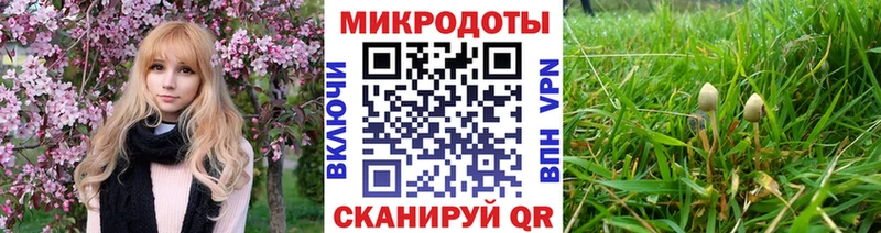 Псилоцибиновые грибы мухоморы  Старый Крым 